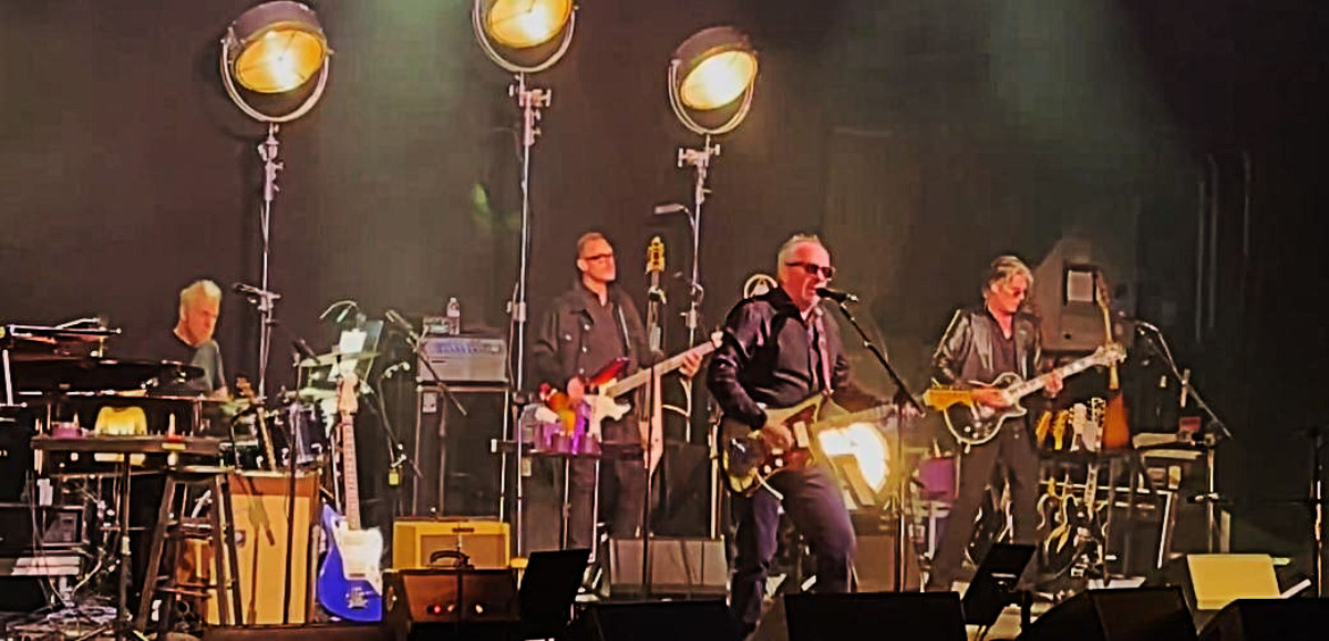 photo of Elvis Costello in concert