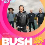Bush at Fair ad